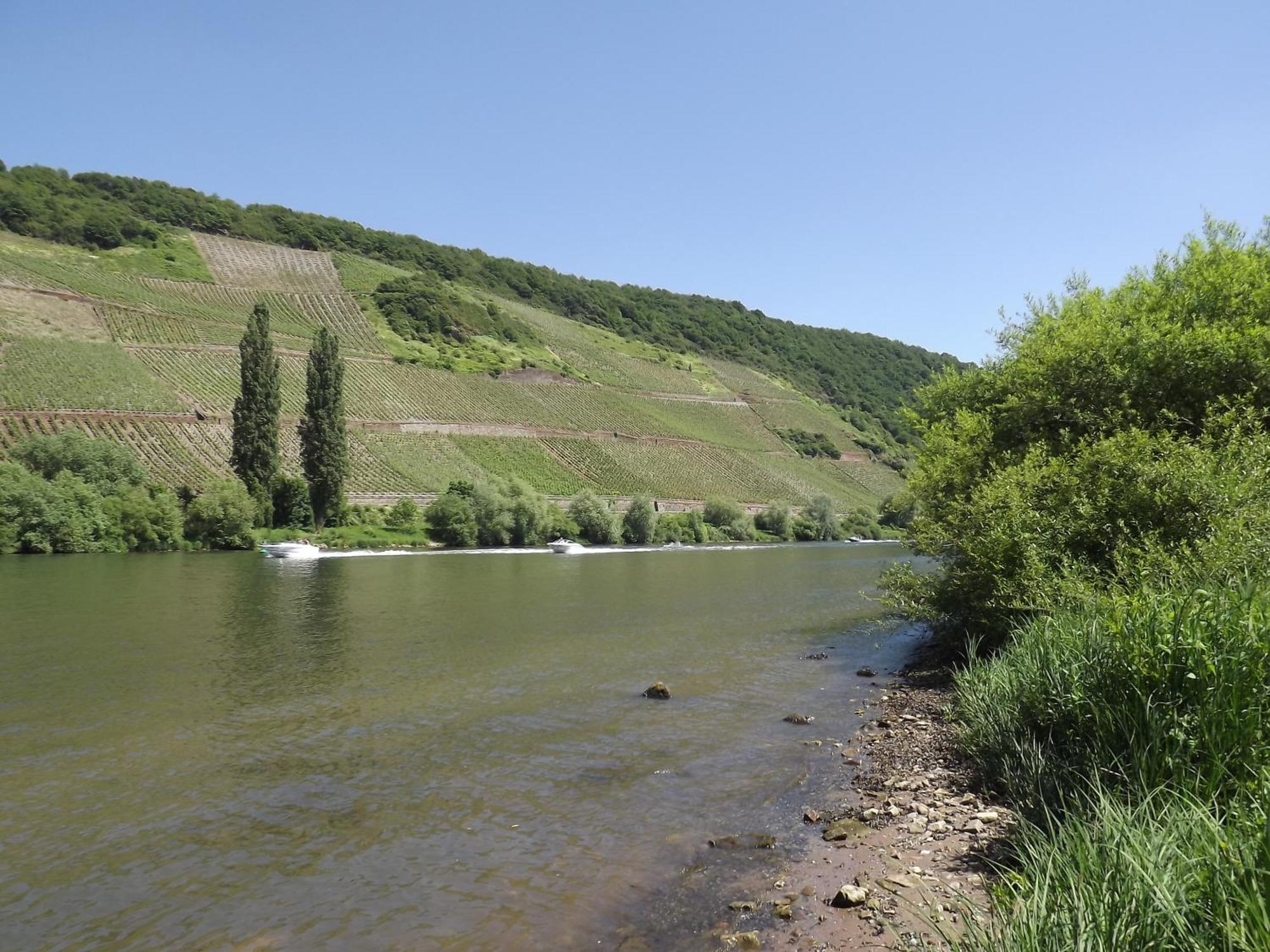 Ferienweingut Winnebeck Köwerich 部屋 写真