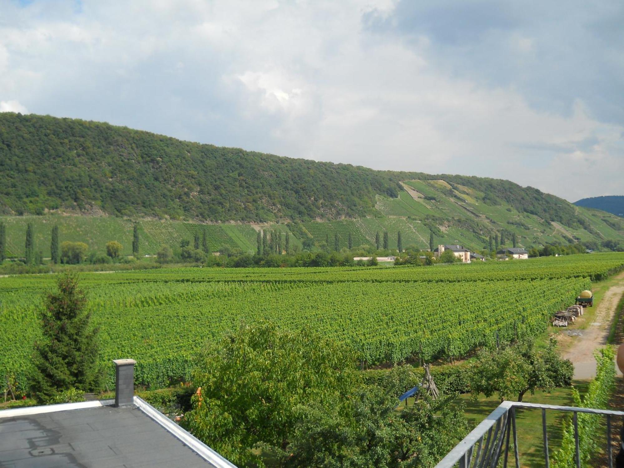Ferienweingut Winnebeck Köwerich 部屋 写真