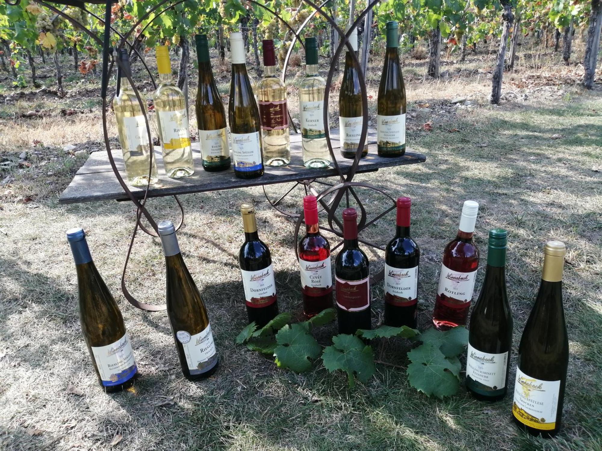 Ferienweingut Winnebeck Köwerich エクステリア 写真