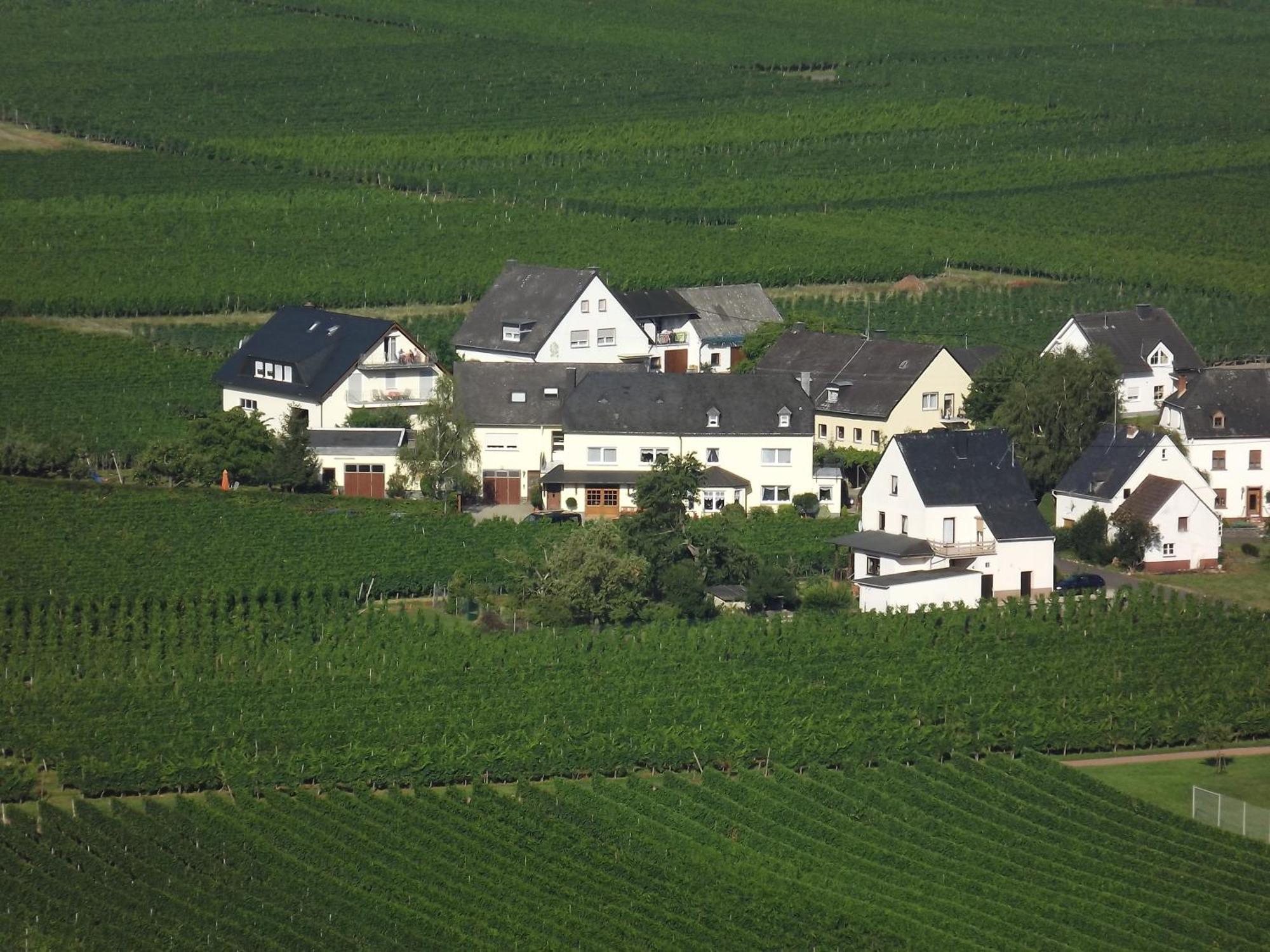 Ferienweingut Winnebeck Köwerich 部屋 写真