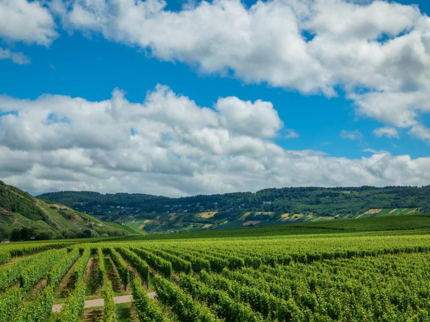 Ferienweingut Winnebeck Köwerich エクステリア 写真