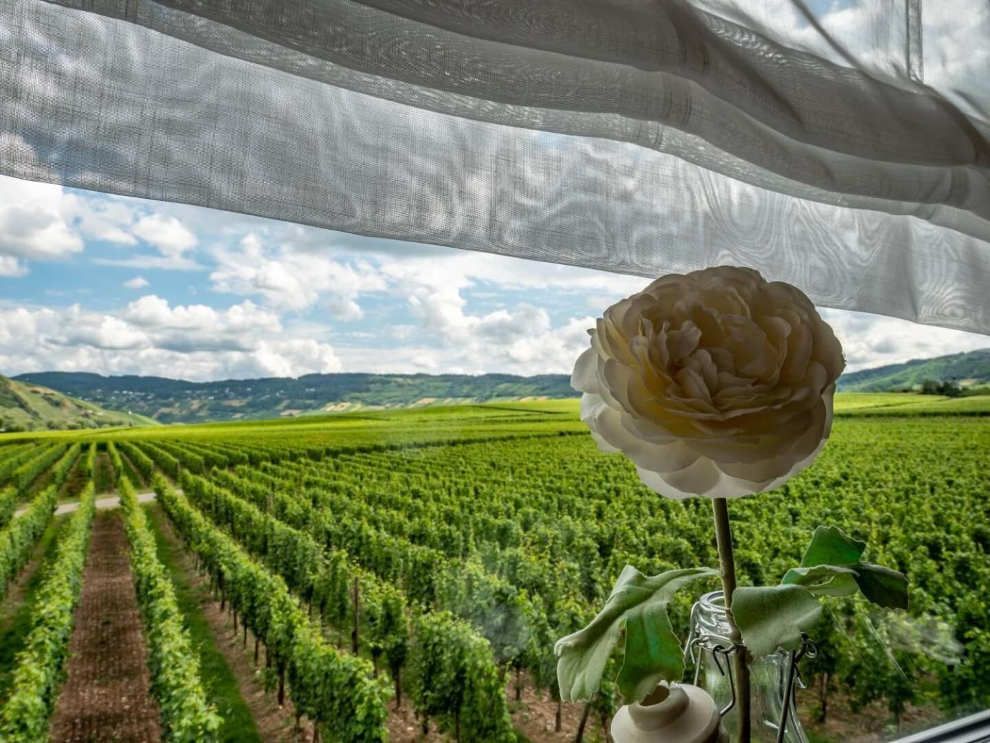 Ferienweingut Winnebeck Köwerich エクステリア 写真