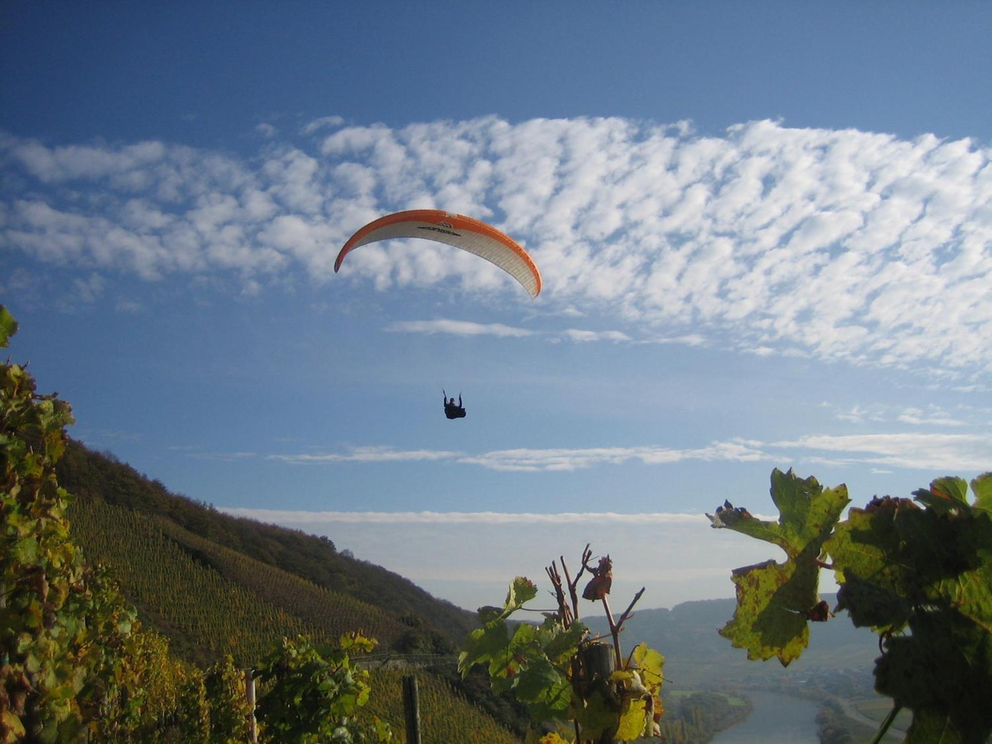 Ferienweingut Winnebeck Köwerich エクステリア 写真