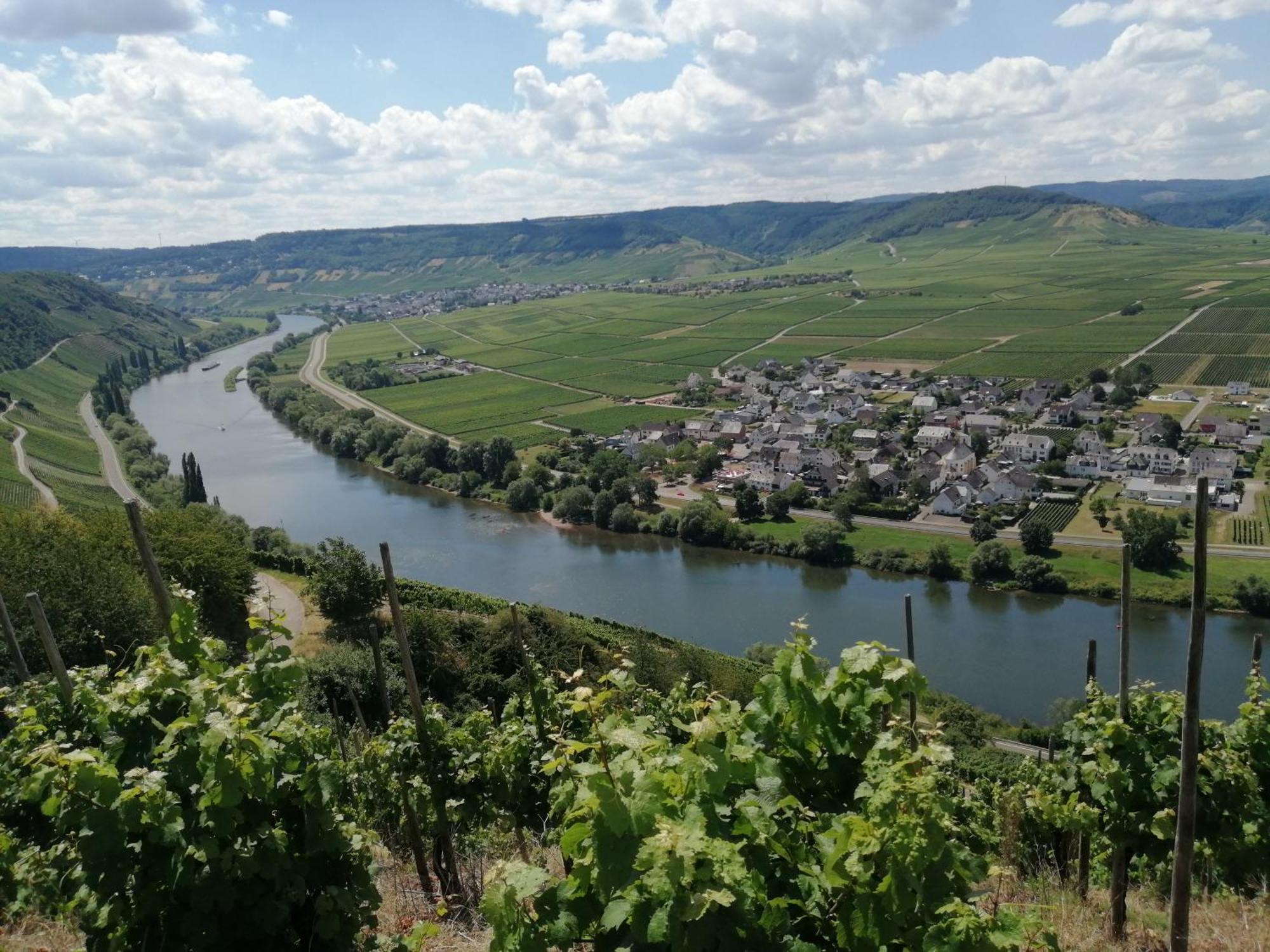 Ferienweingut Winnebeck Köwerich エクステリア 写真