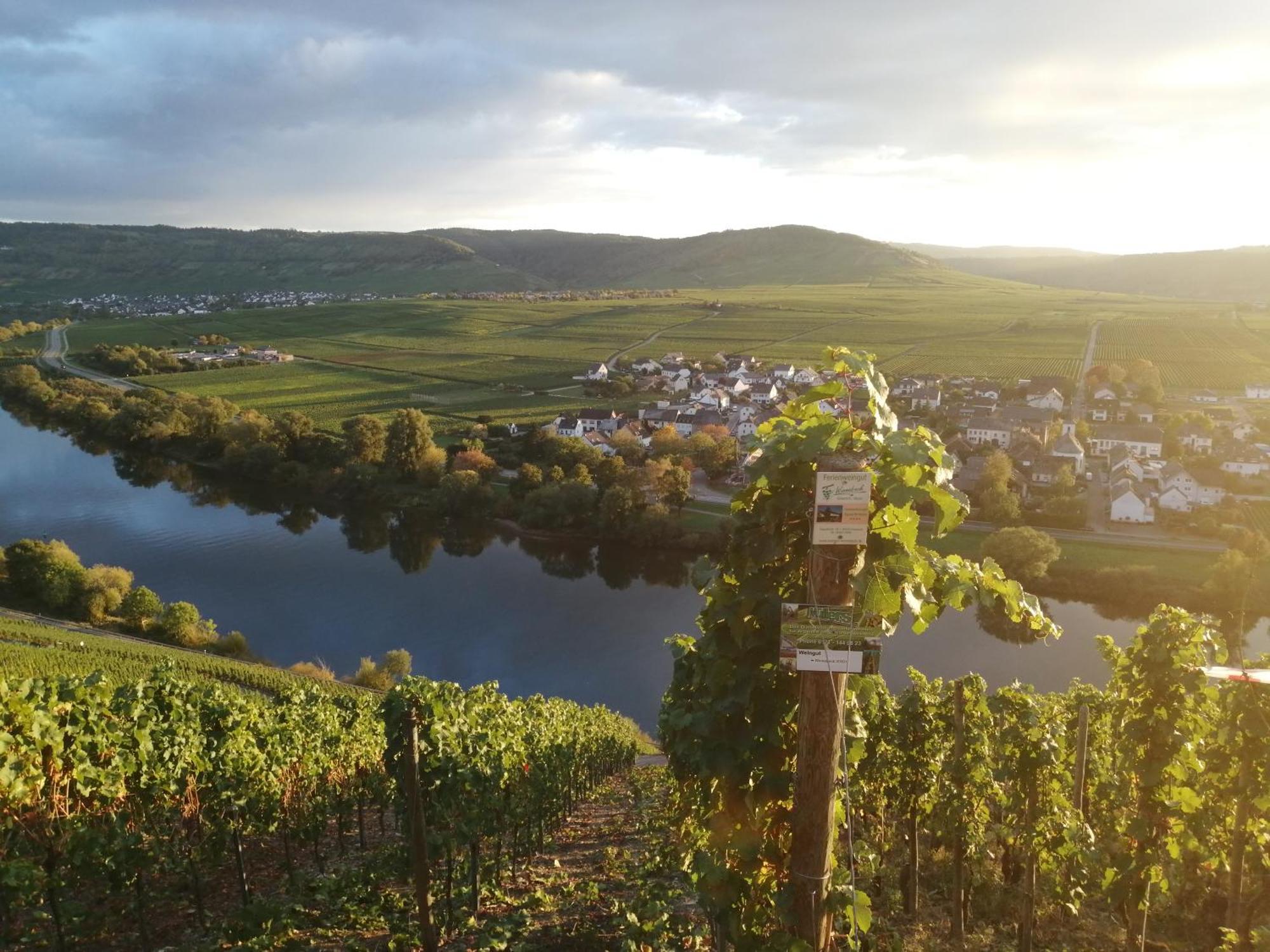 Ferienweingut Winnebeck Köwerich エクステリア 写真