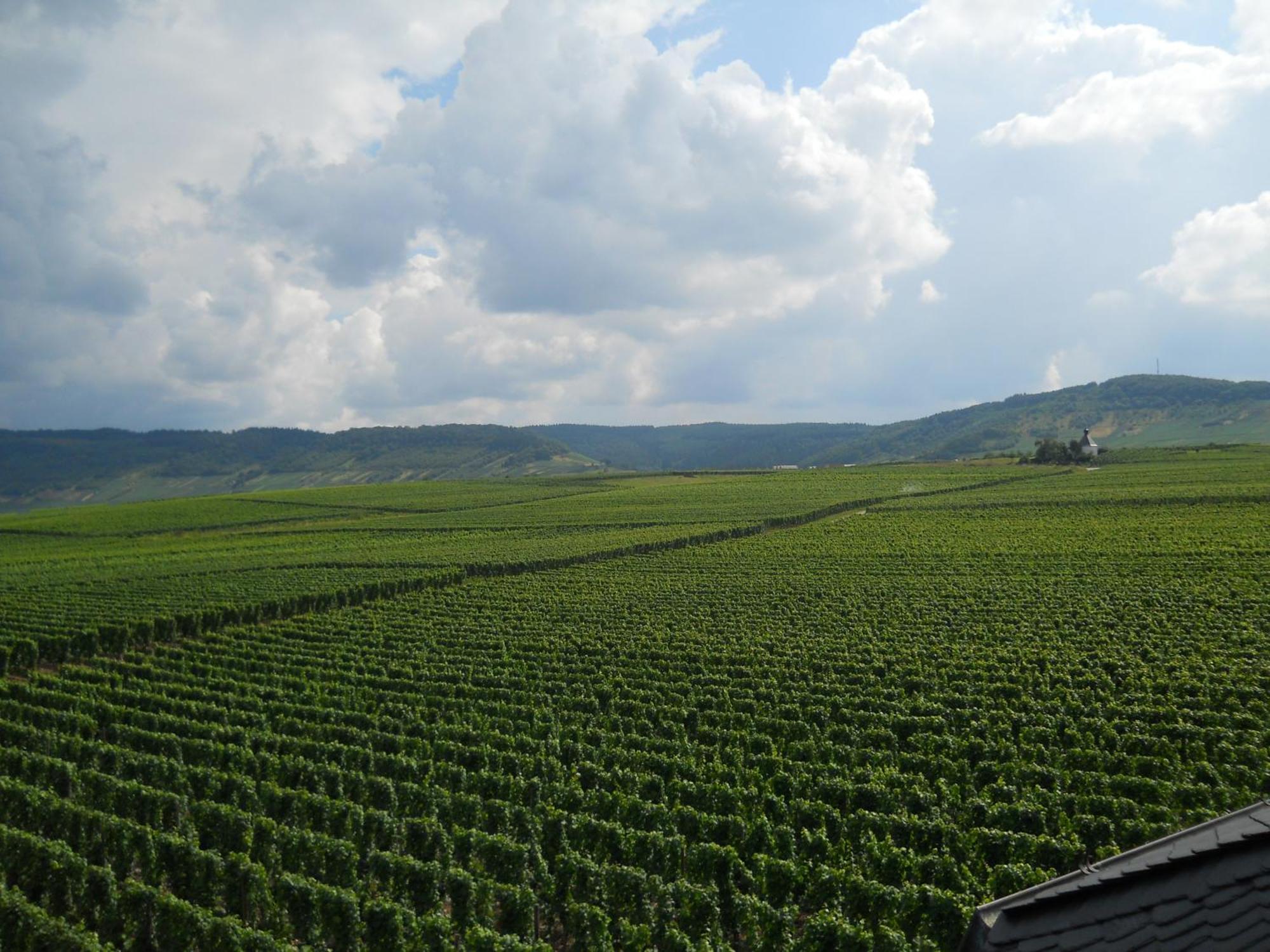 Ferienweingut Winnebeck Köwerich エクステリア 写真
