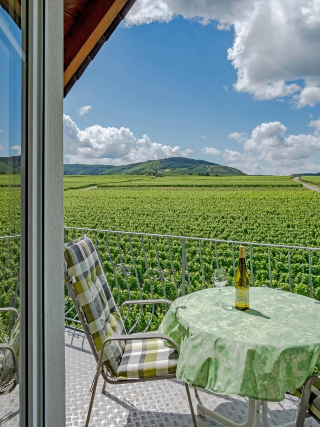 Ferienweingut Winnebeck Köwerich エクステリア 写真