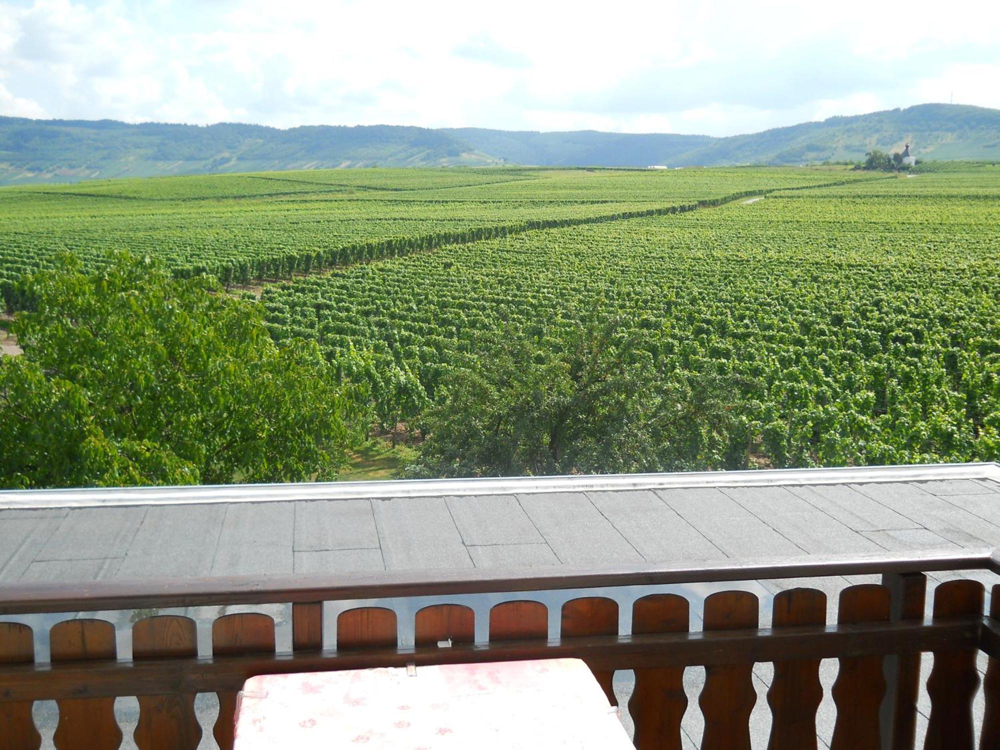 Ferienweingut Winnebeck Köwerich エクステリア 写真